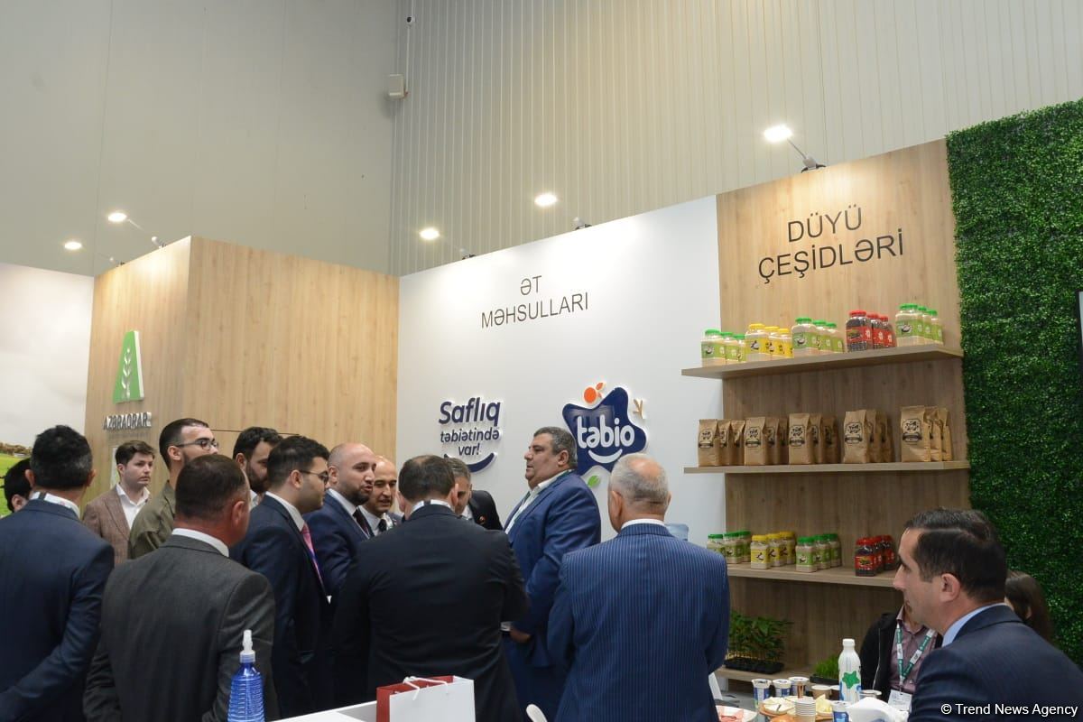 MÜSİAD Azərbaycan 2022-ci il üçün inkişaf strategiyasını hazırlayıb - Rəşad Cabirli (FOTO)
