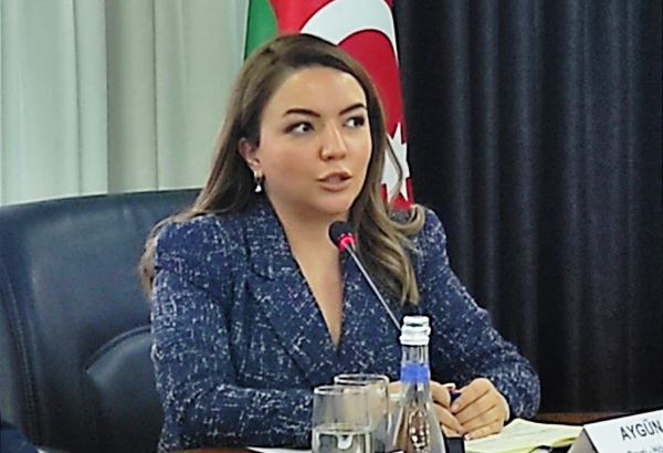 QHT-lərə Dövlət Dəstəyi Agentliyi ilə BMT arasında sənəd imzalanacaq