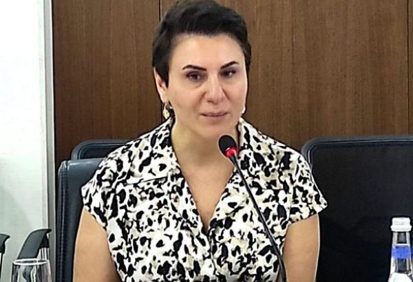 Azərbaycanda Mediasiya Şurasının yaradılmasının böyük əhəmiyyəti var - BMT rəsmisi
