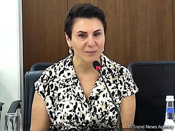 Azərbaycanda Mediasiya Şurasının yaradılmasının böyük əhəmiyyəti var - BMT rəsmisi