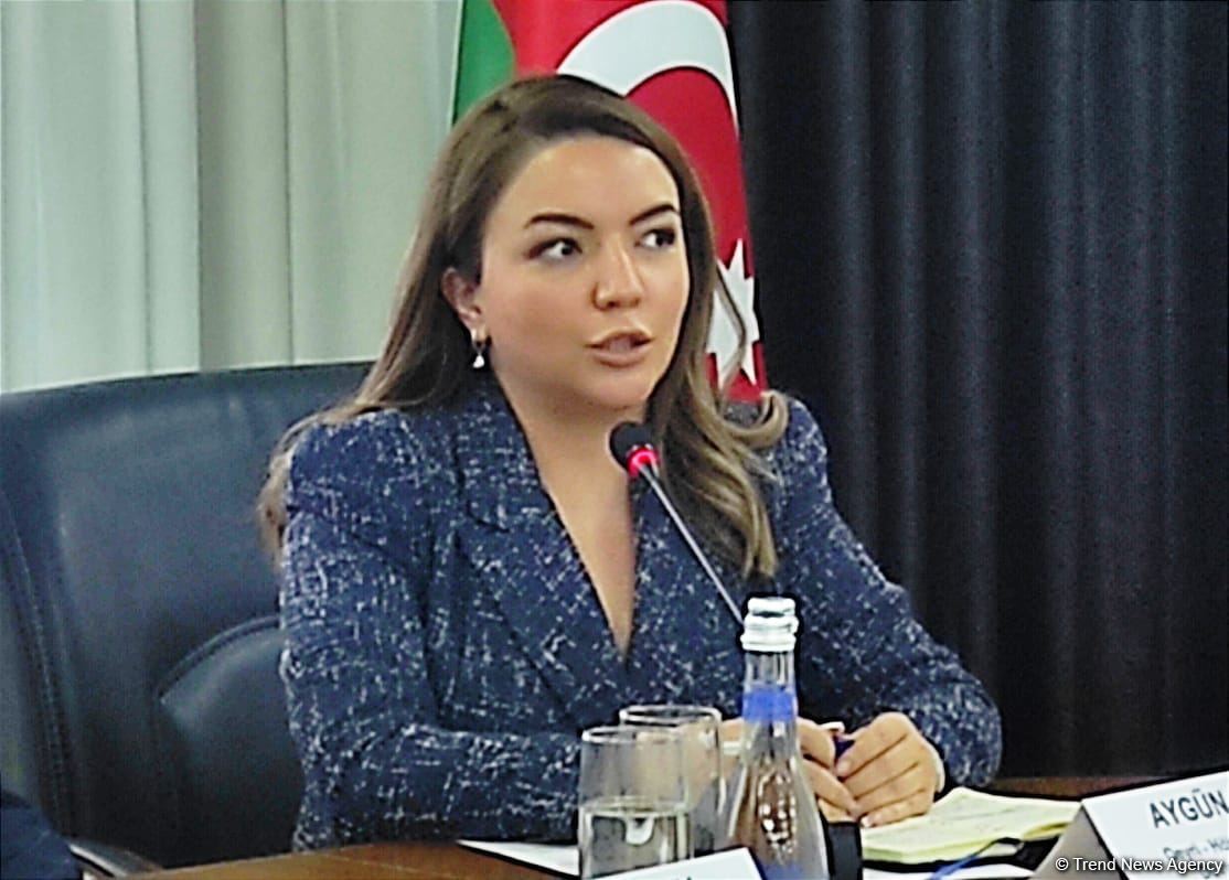 Azərbaycanda ifrat yoxsulluq göstəricisi aradan qalxıb - Milli Əlaqələndirmə Şurasının katibi (FOTO)