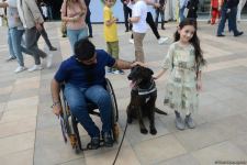 Bakıda "Texnofest" festivalı başlayıb (FOTO/VİDEO)