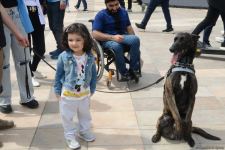 Bakıda "Texnofest" festivalı başlayıb (FOTO/VİDEO)
