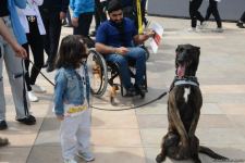 Bakıda "Texnofest" festivalı başlayıb (FOTO/VİDEO)