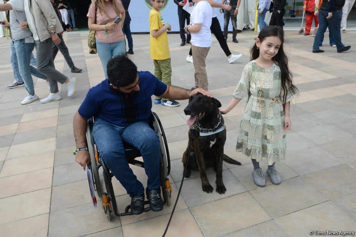 Bakıda "Texnofest" festivalı başlayıb (FOTO/VİDEO)