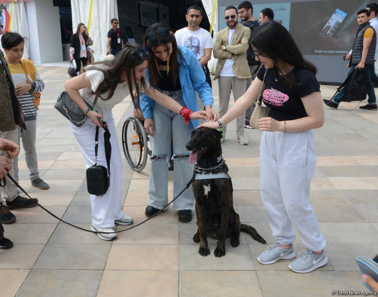 Bakıda "Texnofest" festivalı başlayıb (FOTO/VİDEO)