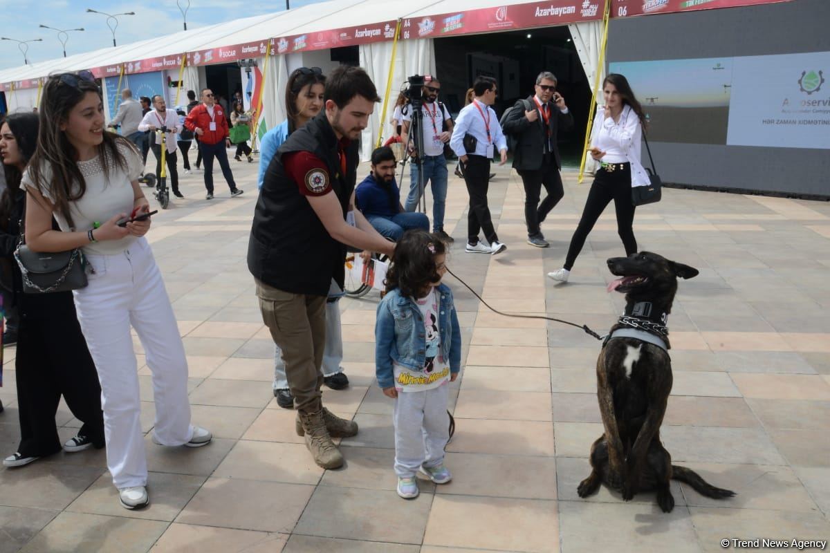 Bakıda "Texnofest" festivalı başlayıb (FOTO/VİDEO)
