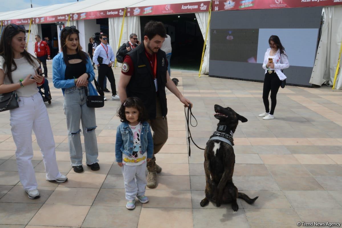 Bakıda "Texnofest" festivalı başlayıb (FOTO/VİDEO)