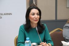 Uşaqların müdafiəsi ilə bağlı müxtəlif layihələrin işlənməsinə diqqət göstərilməlidir - UNICEF (FOTO)