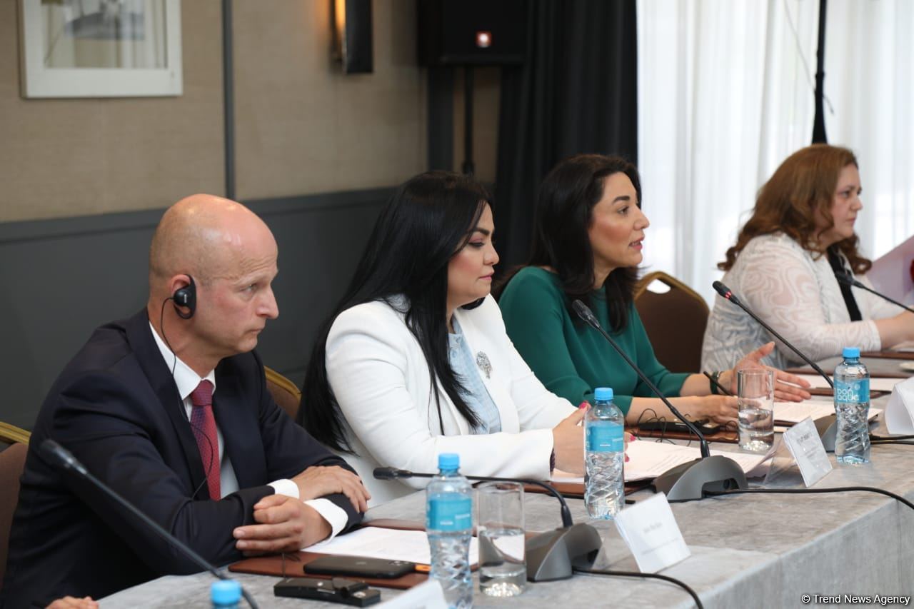 Uşaqların müdafiəsi ilə bağlı müxtəlif layihələrin işlənməsinə diqqət göstərilməlidir - UNICEF (FOTO)