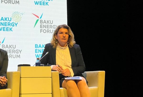 IFC "yaşıl" layihələrin reallaşdırılmasında Azərbaycanla əməkdaşlığı inkişaf etdirməyə hazırdır - Regional menecer