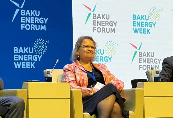 Niderland alternativ enerjinin inkişafı sahəsində Azərbaycanla öz təcrübəsini bölüşə bilər - Səfir