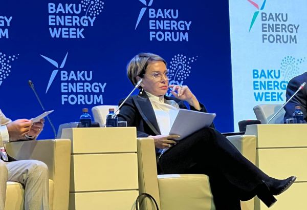 Yaxın on il ərzində SOCAR sıfır karbon səviyyəsinə çatacaq - Vitse-prezident