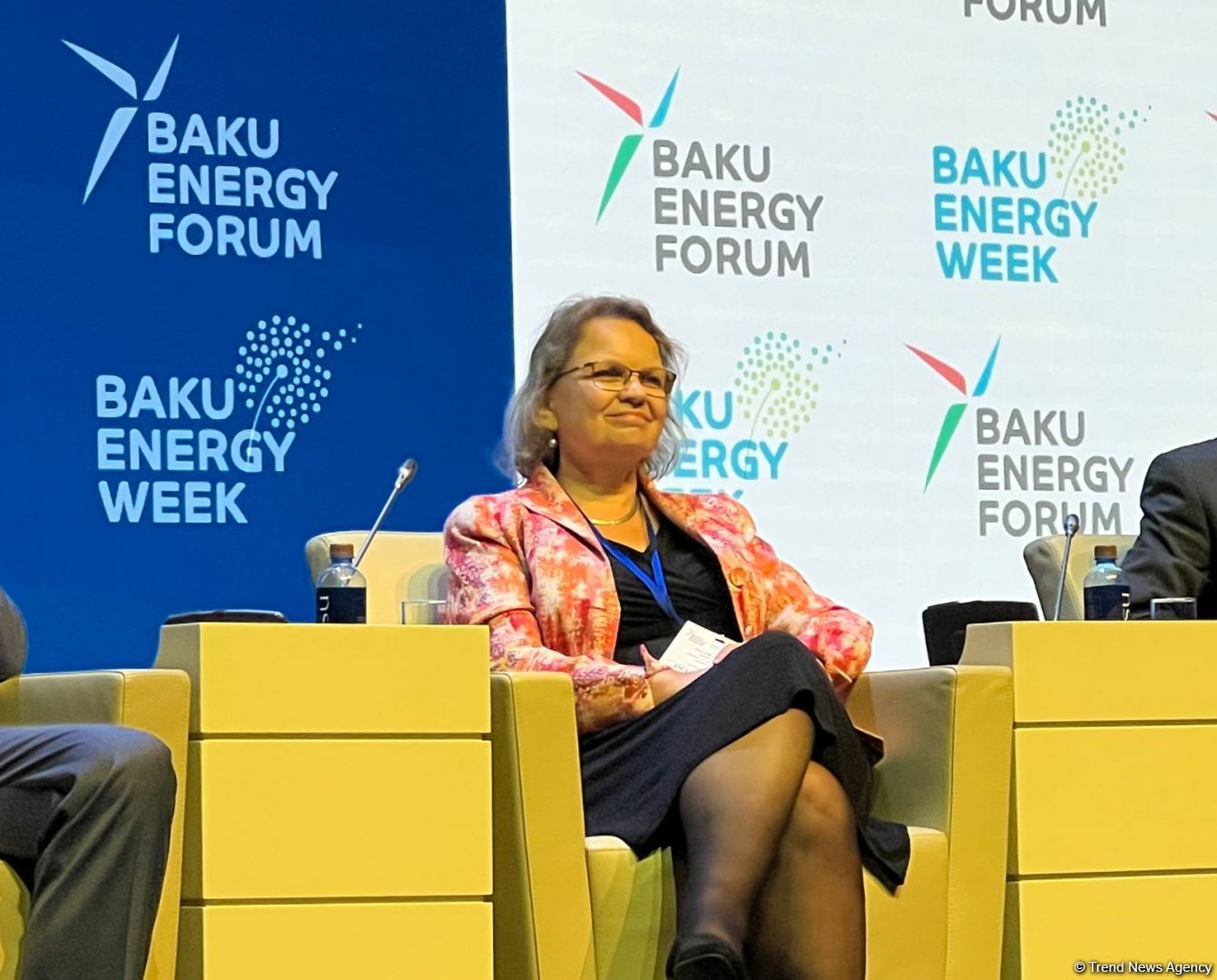 Niderland alternativ enerjinin inkişafı sahəsində Azərbaycanla öz təcrübəsini bölüşə bilər - Səfir