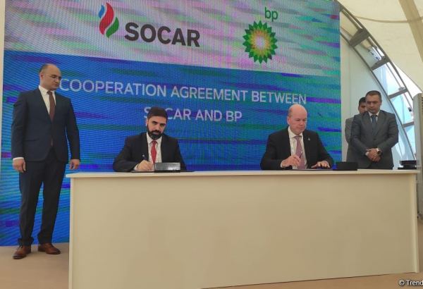 Şuşada alternativ enerji sahəsində sənədlər imzalanıb (FOTO)