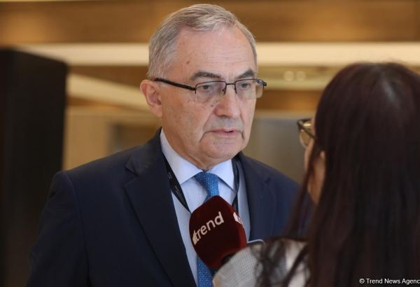 Azərbaycanın regionda sülhlə bağlı atdığı addımlar digər ölkələr üçün nümunə ola bilər - QDİƏT rəsmisi (FOTO)