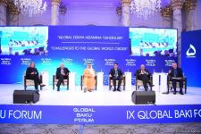 IX Qlobal Bakı Forumu çərçivəsində növbəti panel iclası keçirilib (FOTO)