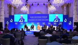 IX Qlobal Bakı Forumu çərçivəsində növbəti panel iclası keçirilib (FOTO)