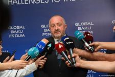 IX Qlobal Bakı Forumu çərçivəsində birinci panel iclası keçirilib (FOTO)