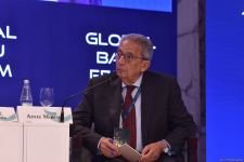 IX Qlobal Bakı Forumunda sülh və sabitlik mövzusunda panel iclası keçirilib (FOTO)