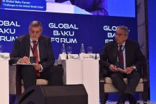 IX Qlobal Bakı Forumunda sülh və sabitlik mövzusunda panel iclası keçirilib (FOTO)