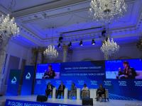 IX Qlobal Bakı Forumu çərçivəsində yoxsulluq, aclıq, ərzaq və kənd təsərrüfatı sahəsinin transformasiyası müzakirə edilib (FOTO)