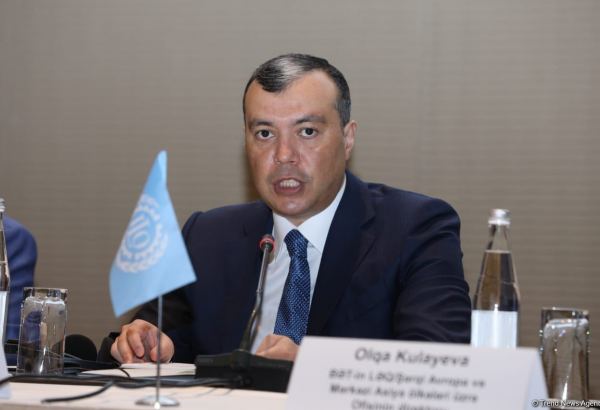 Şəhid ailələri və müharibə iştirakçılarına dövlət dəstəyi nazirliyin fəaliyyətinin əsas istiqamətidir - Sahil Babayev