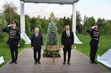 Azərbaycan və Özbəkistan prezidentləri Fəxri qonaqlar xiyabanında ağac əkiblər (FOTO/VİDEO)