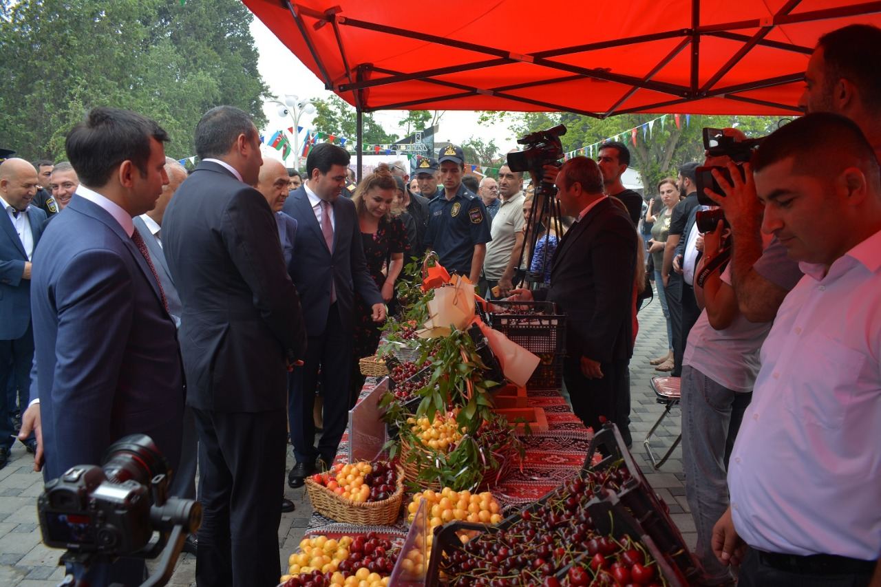 Azərbaycanda ilk dəfə “Albalı və gilas” festivalı keçirilib (FOTO)
