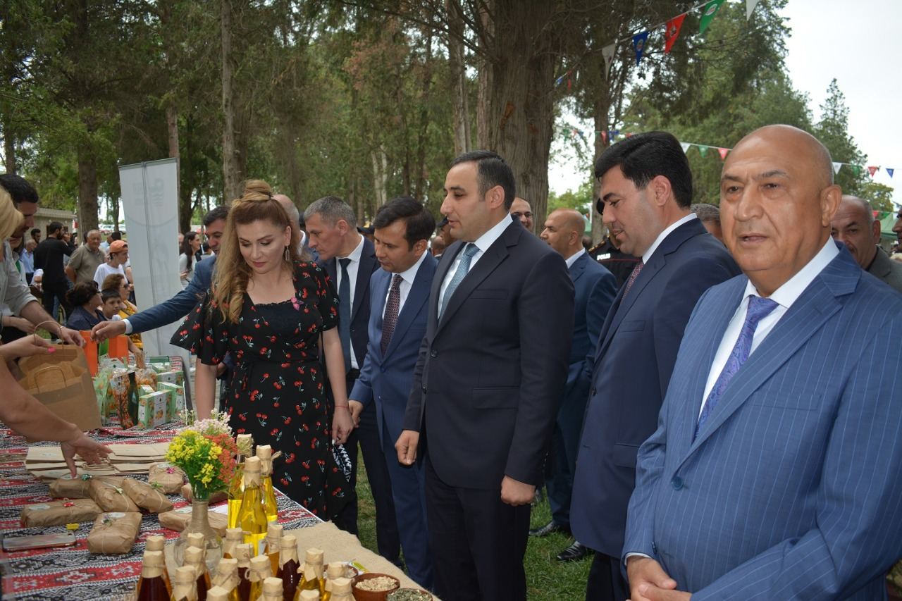 Azərbaycanda ilk dəfə “Albalı və gilas” festivalı keçirilib (FOTO)