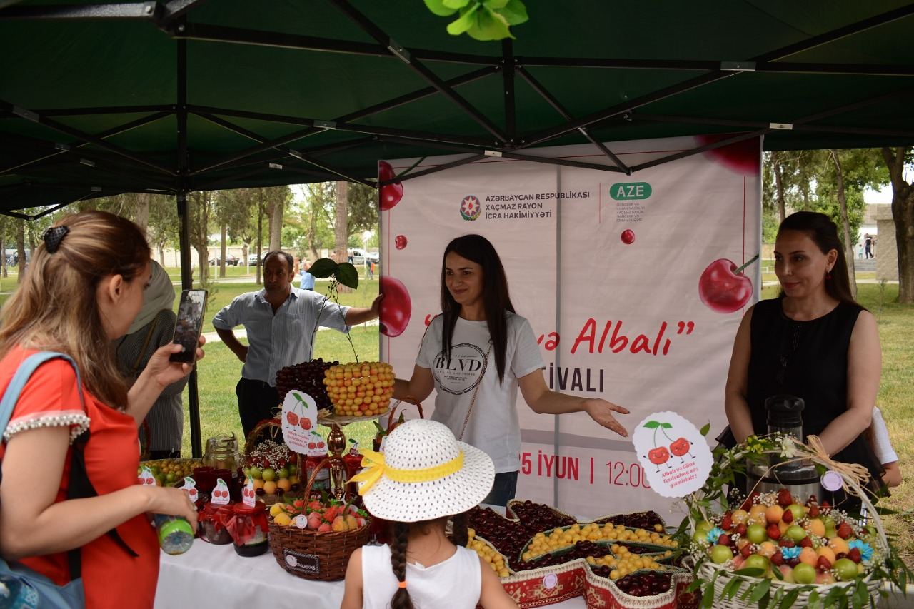 Azərbaycanda ilk dəfə “Albalı və gilas” festivalı keçirilib (FOTO)