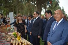 Azərbaycanda ilk dəfə “Albalı və gilas” festivalı keçirilib (FOTO)