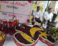 Azərbaycanda ilk dəfə “Albalı və gilas” festivalı keçirilib (FOTO)