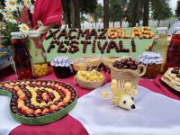Azərbaycanda ilk dəfə “Albalı və gilas” festivalı keçirilib (FOTO)