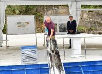 Prezident İlham Əliyev Kəlbəcərdə “İstisu” mineral su zavodunun təməlini qoyub (YENİLƏNİB) (FOTO/VİDEO)
