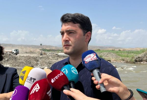 Nadir balıq növlərinin populyasiyasının artırılması üzrə tədbirlər görülür - Nazirlik