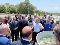 Zəngilanda Həkəri çayına qızılxallı forel körpələri buraxılıb (FOTO)