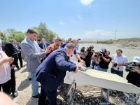Zəngilanda Həkəri çayına qızılxallı forel körpələri buraxılıb (FOTO)