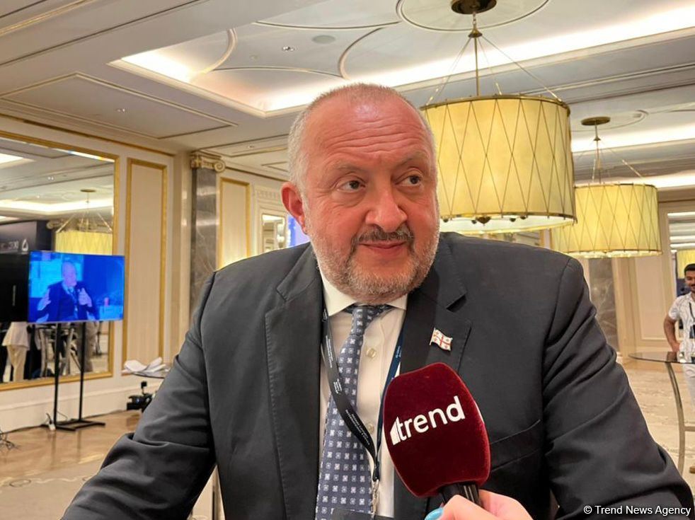 Azərbaycan Avropaya enerji ehtiyatları tədarükünün artırılması üçün böyük imkanlara malikdir - Gürcüstanın sabiq prezidenti