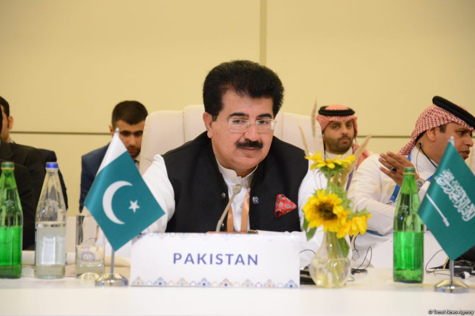Azərbaycan regionun əsas oyunçusuna çevrilib - Pakistan Senatının sədri