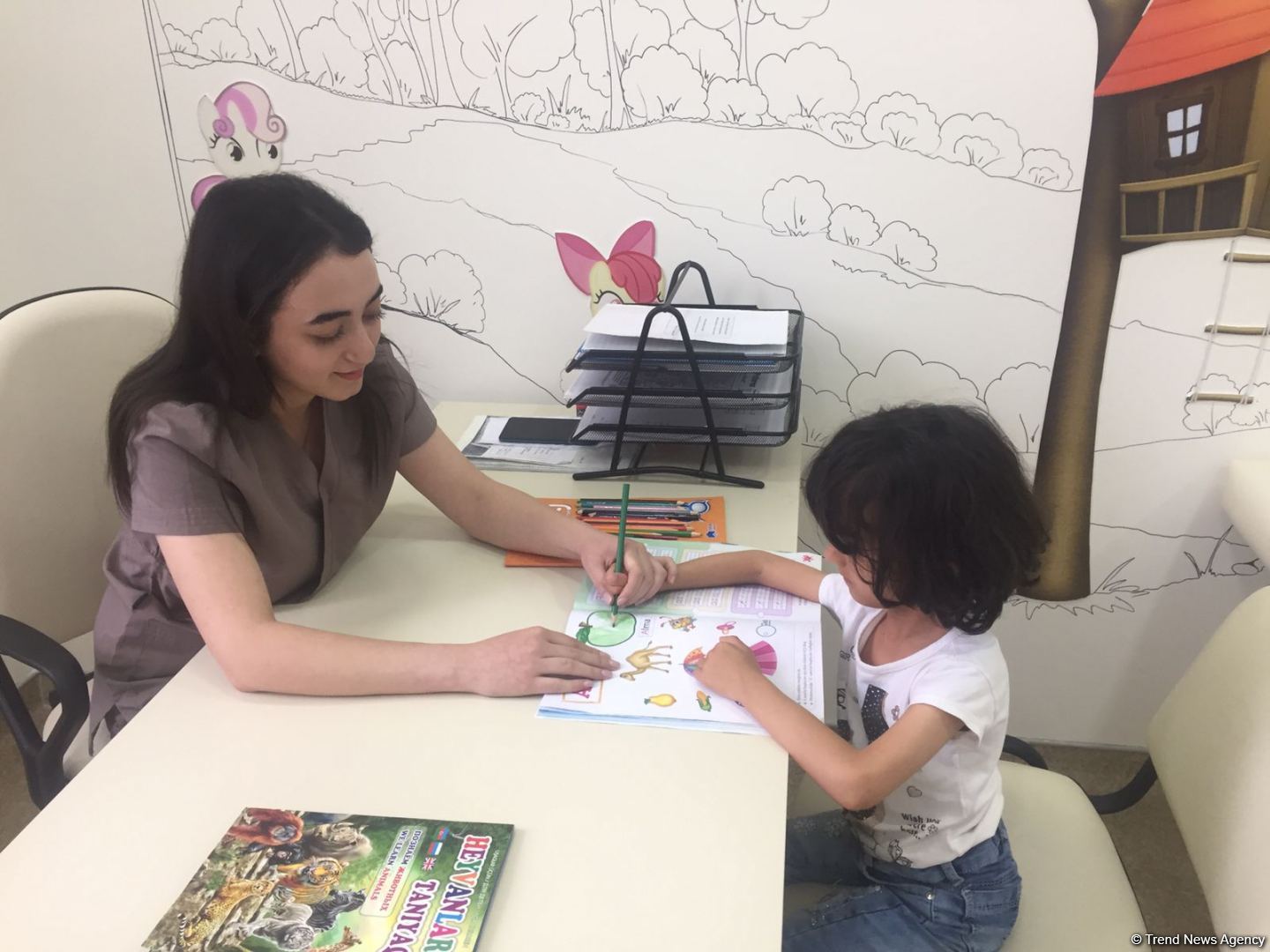 Qəbələ Uşaq Reabilitasiya Mərkəzinə mediatur təşkil edilib (FOTO)