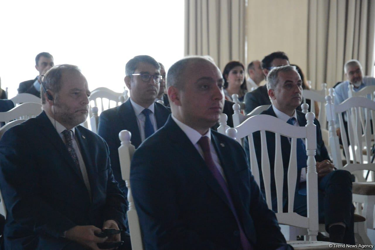 Ermənistan tərəfindən Azərbaycan irsinin dağıdılmasından bəhs edən kitabın təqdimatı olub (FOTO)