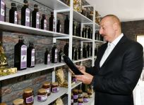 Prezident İlham Əliyev Ramana qəsəbəsində görülən abadlıq işləri ilə tanış olub (FOTO/VİDEO)