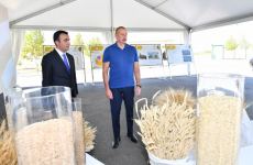 Prezident İlham Əliyev “Ağsu Aqropark”ın fəaliyyəti ilə tanış olub (FOTO/VİDEO) (YENİLƏNİB)