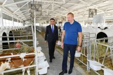 Prezident İlham Əliyev “Ağsu Aqropark”ın fəaliyyəti ilə tanış olub (FOTO/VİDEO) (YENİLƏNİB)