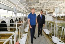 Prezident İlham Əliyev “Ağsu Aqropark”ın fəaliyyəti ilə tanış olub (FOTO/VİDEO) (YENİLƏNİB)