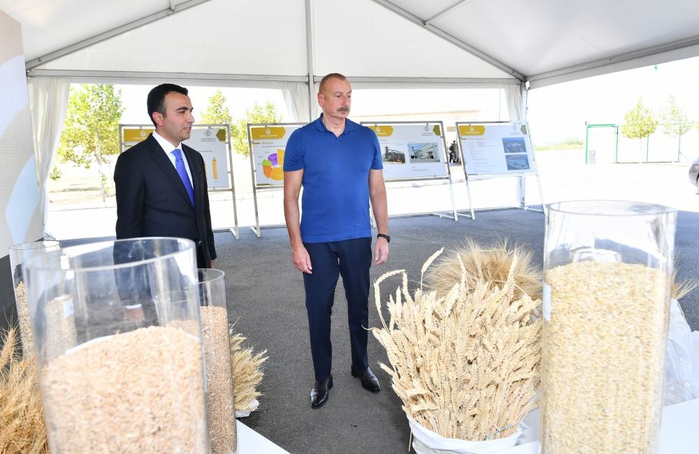 Prezident İlham Əliyev “Ağsu Aqropark”ın fəaliyyəti ilə tanış olub (FOTO/VİDEO) (YENİLƏNİB)