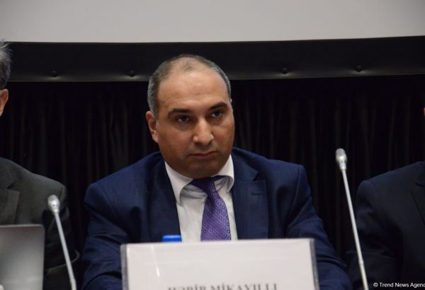 Azərbaycan itkin düşmüş şəxslərlə bağlı məsələdə tərəfdaşların dəstəyinə ümid edir