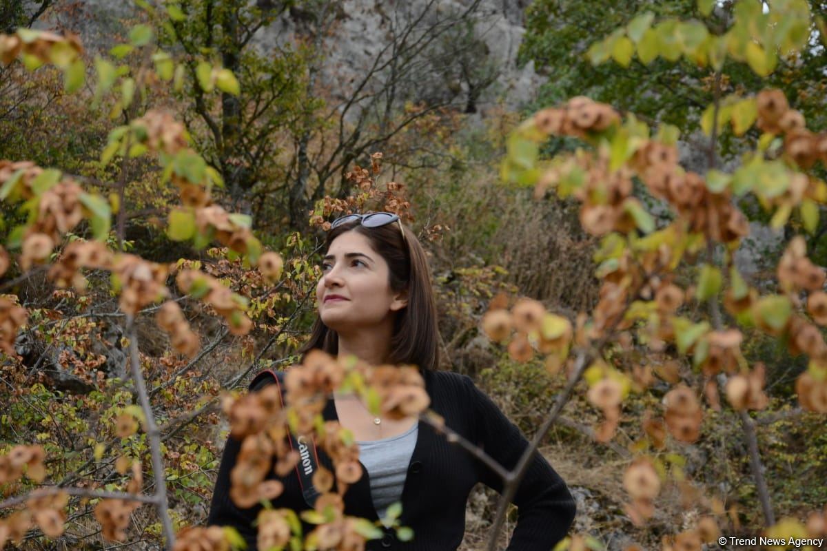 Xarici səyahətçilər Azıx mağarasını ziyarət ediblər (FOTO)