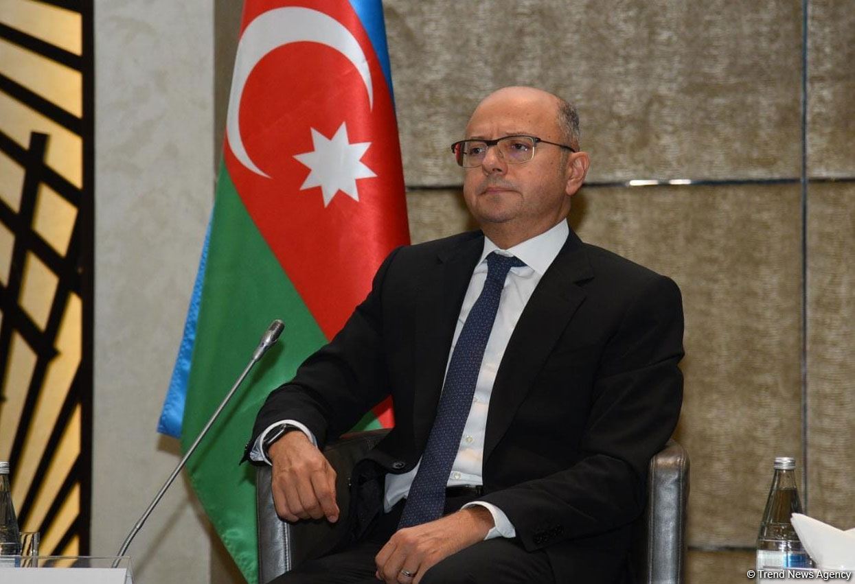 Azərbaycan Avropaya külək elektrik enerjisinin nəqli imkanlarını müzakirə edir - Pərviz Şahbazov